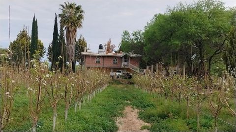 4PJ2+JJ2 San Luis de letras Street   20678