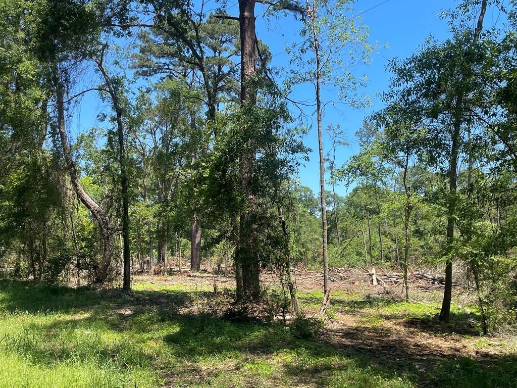 Davisville Road, Lufkin, Texas image 3