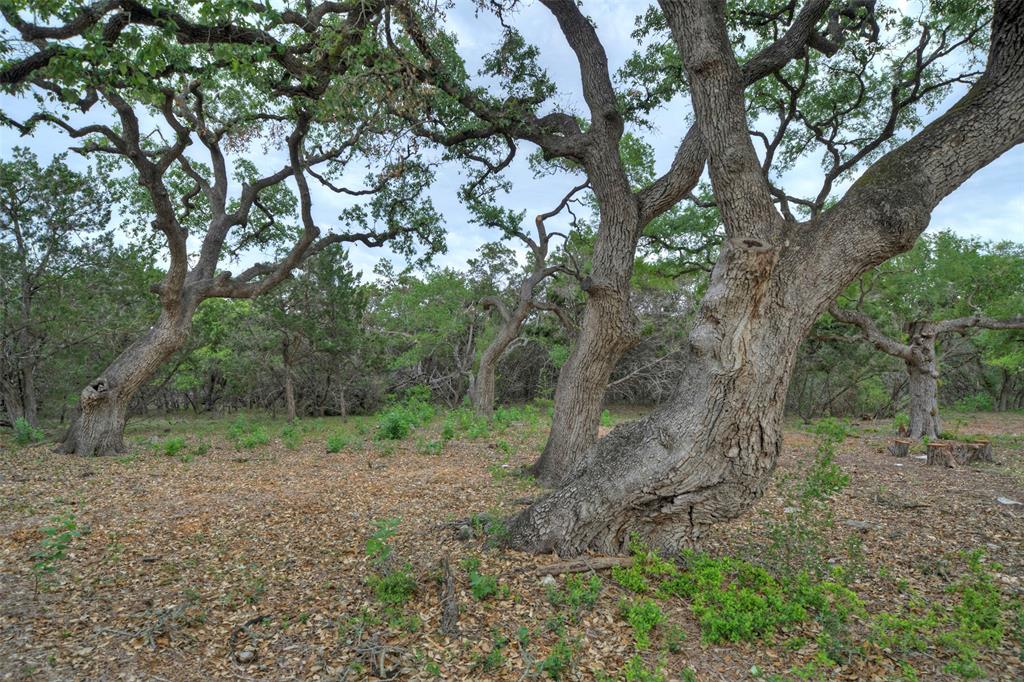 11916 Jim Bridger Drive, Austin, Texas image 31