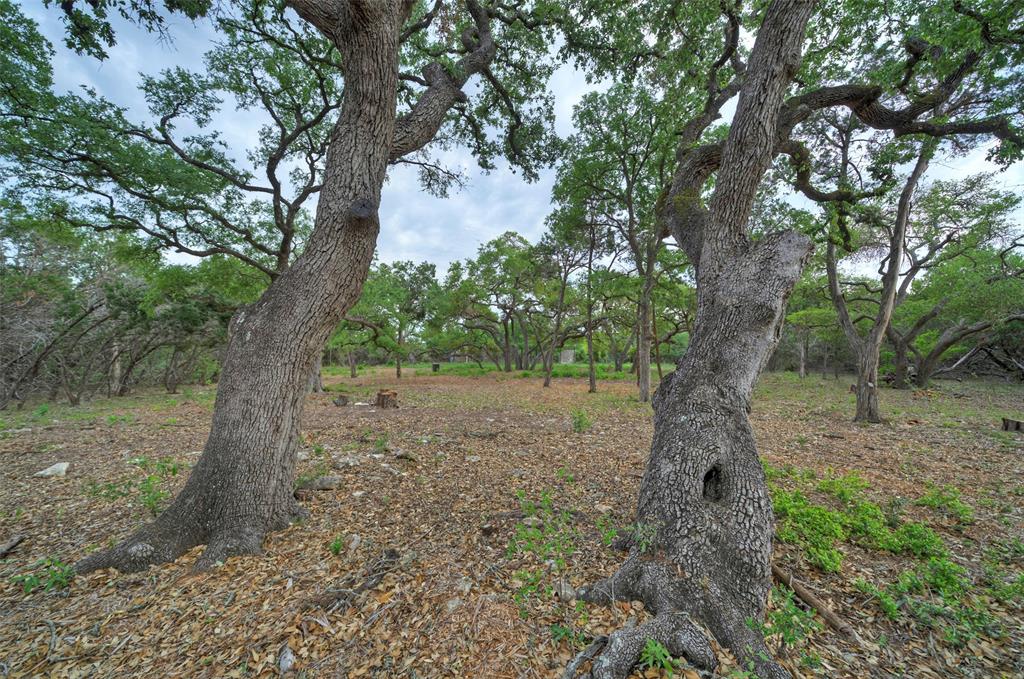 11916 Jim Bridger Drive, Austin, Texas image 33