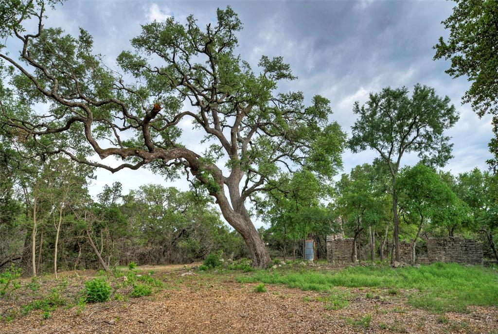 11916 Jim Bridger Drive, Austin, Texas image 35