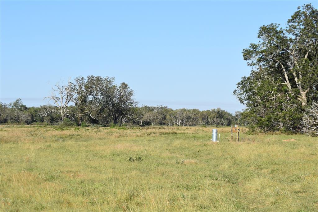 8734 Fm 521, Brazoria, Texas image 19