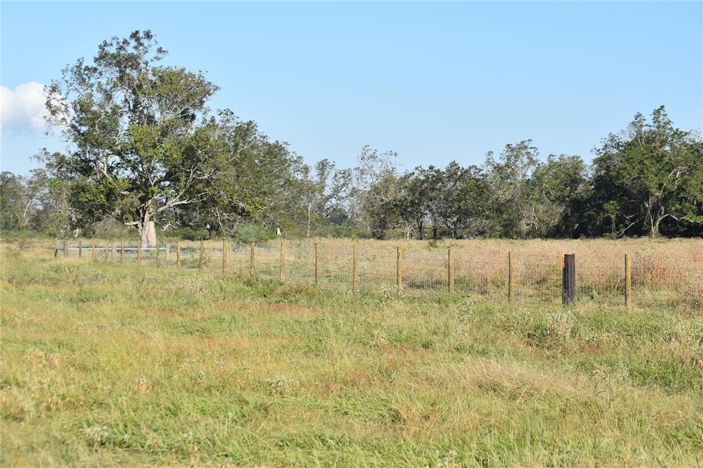 8734 Fm 521, Brazoria, Texas image 11