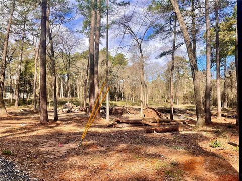 11253 Greenway Drive Plantersville TX 77363