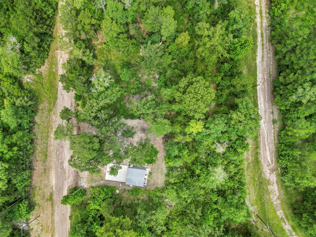 163 Shadywood Drive, Trinity, Texas image 29