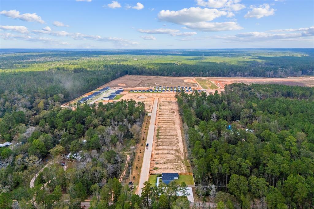 14619 William Trails Drive, Willis, Texas image 22