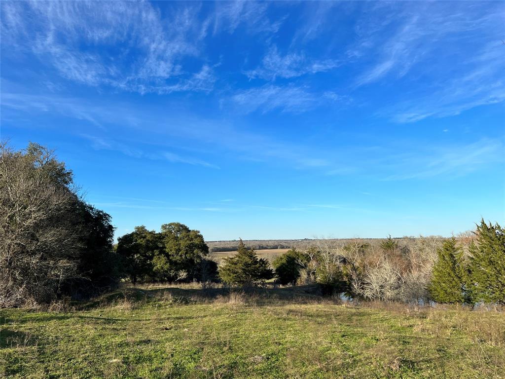 TBD Oil Field Road, Brenham, Texas image 20