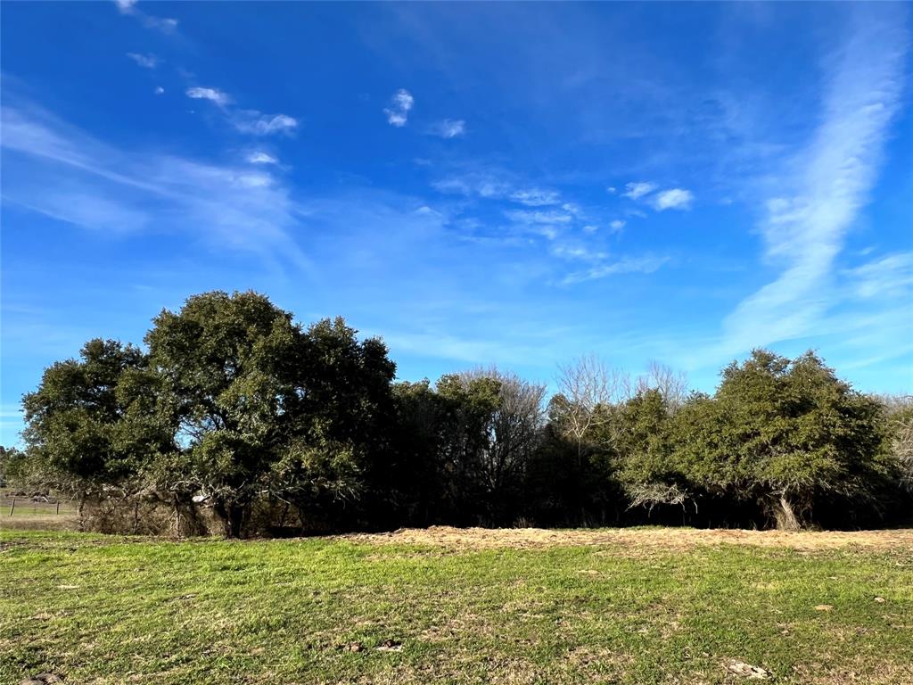 TBD Oil Field Road, Brenham, Texas image 2