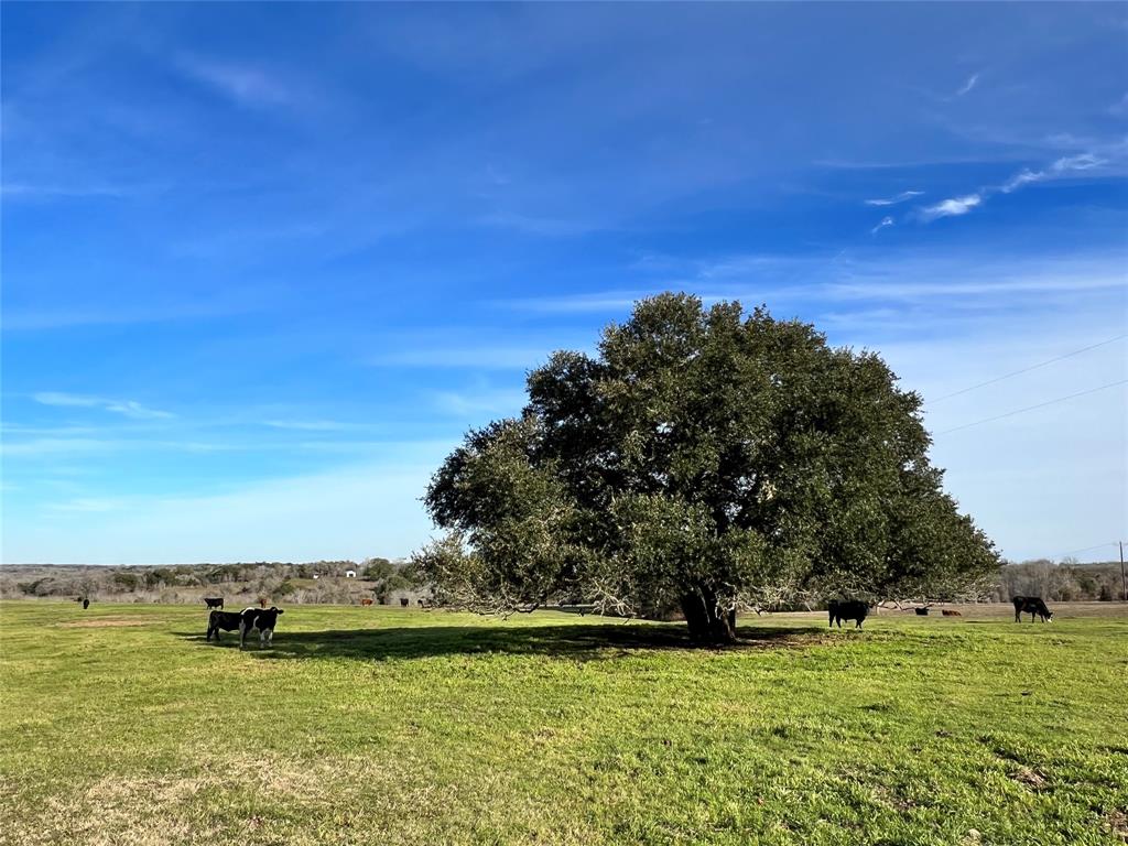 TBD Oil Field Road, Brenham, Texas image 1