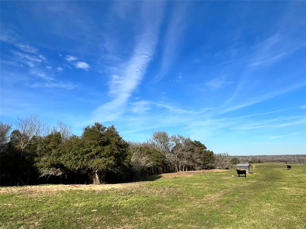 TBD Oil Field Road, Brenham, Texas image 3