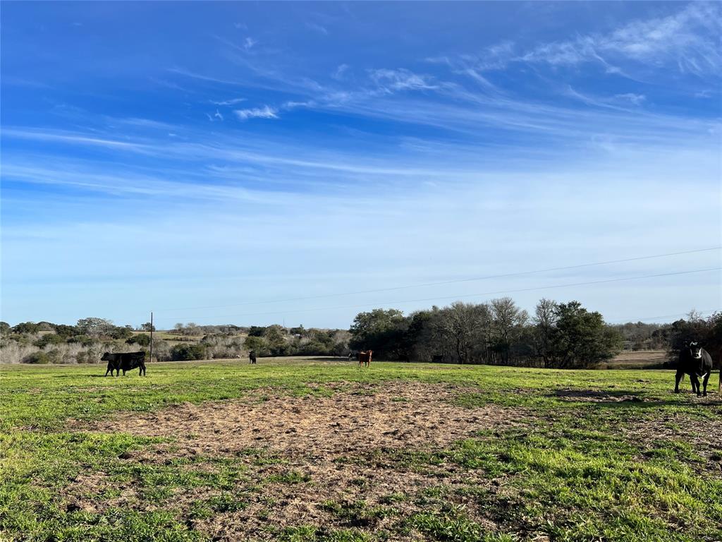 TBD Oil Field Road, Brenham, Texas image 10