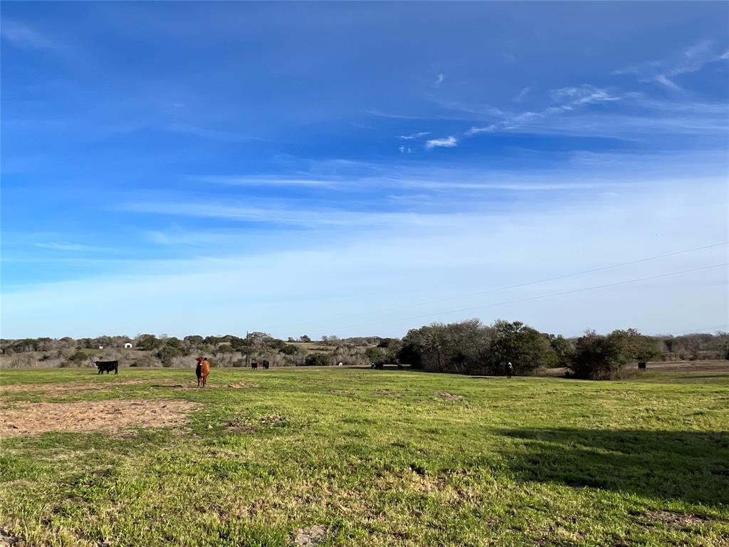 TBD Oil Field Road, Brenham, Texas image 5