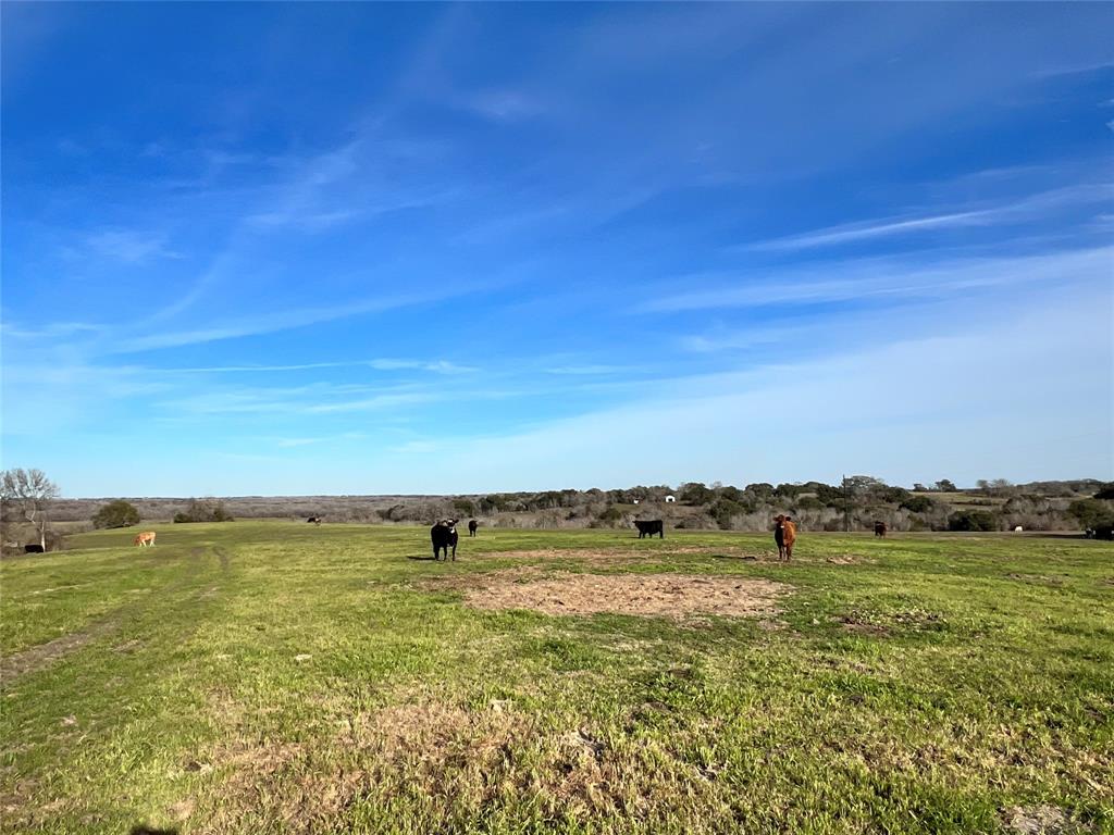 TBD Oil Field Road, Brenham, Texas image 6