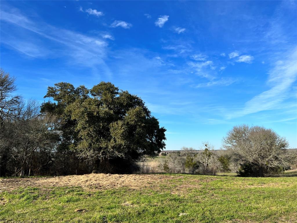 TBD Oil Field Road, Brenham, Texas image 8