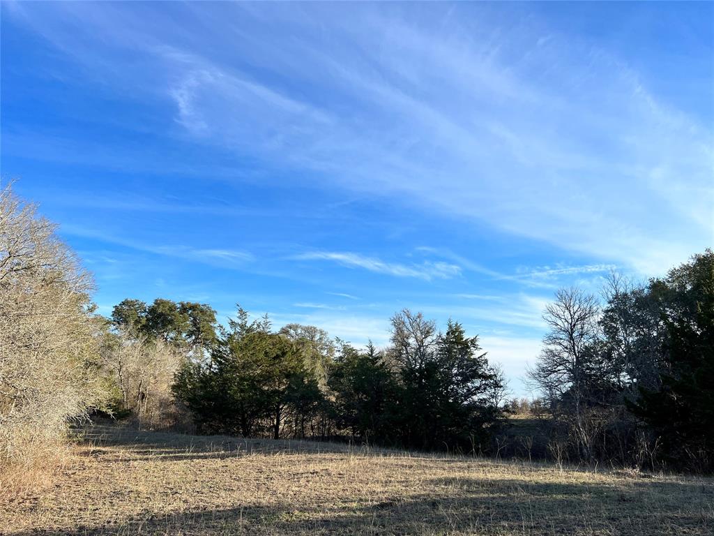 TBD Oil Field Road, Brenham, Texas image 25