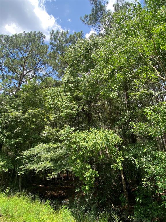 19136 Durham Court, New Caney, Texas image 9