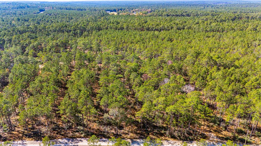 027 King Ranch Road South Road, Onalaska, Texas image 7