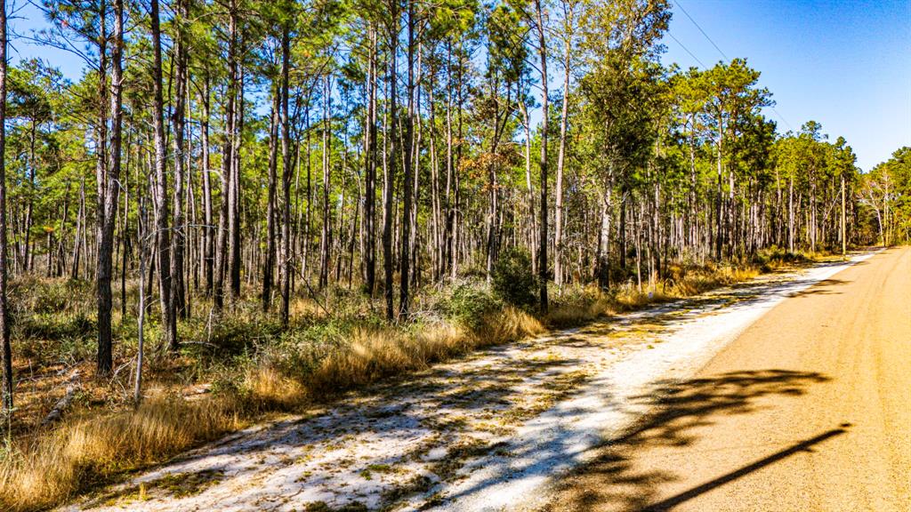 027 King Ranch Road South Road, Onalaska, Texas image 10