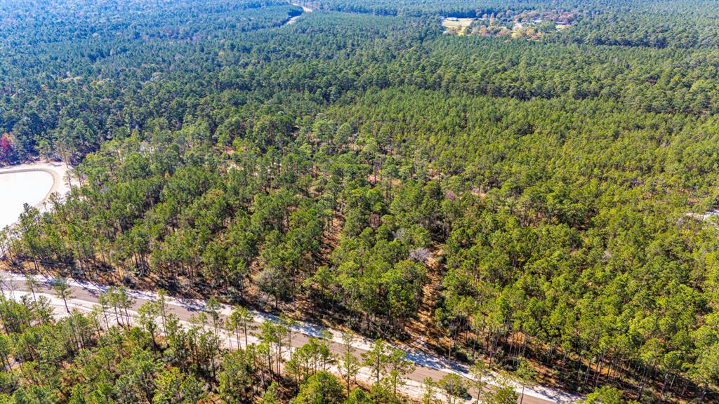 027 King Ranch Road South Road, Onalaska, Texas image 6