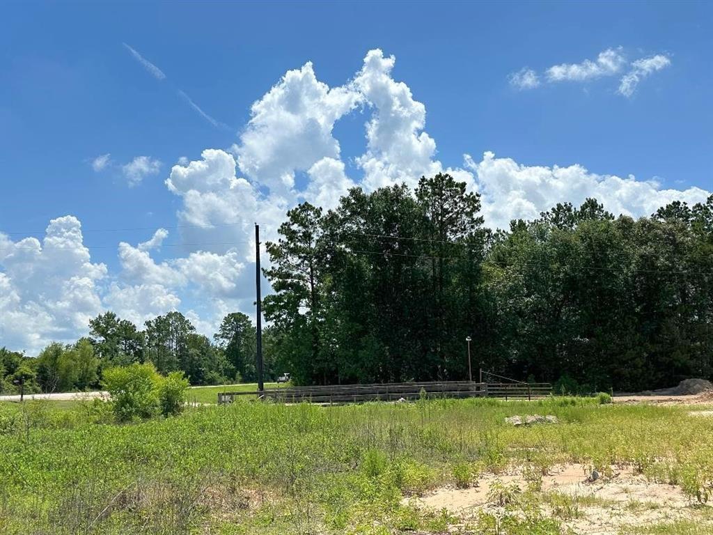 25930 GRAND PINES