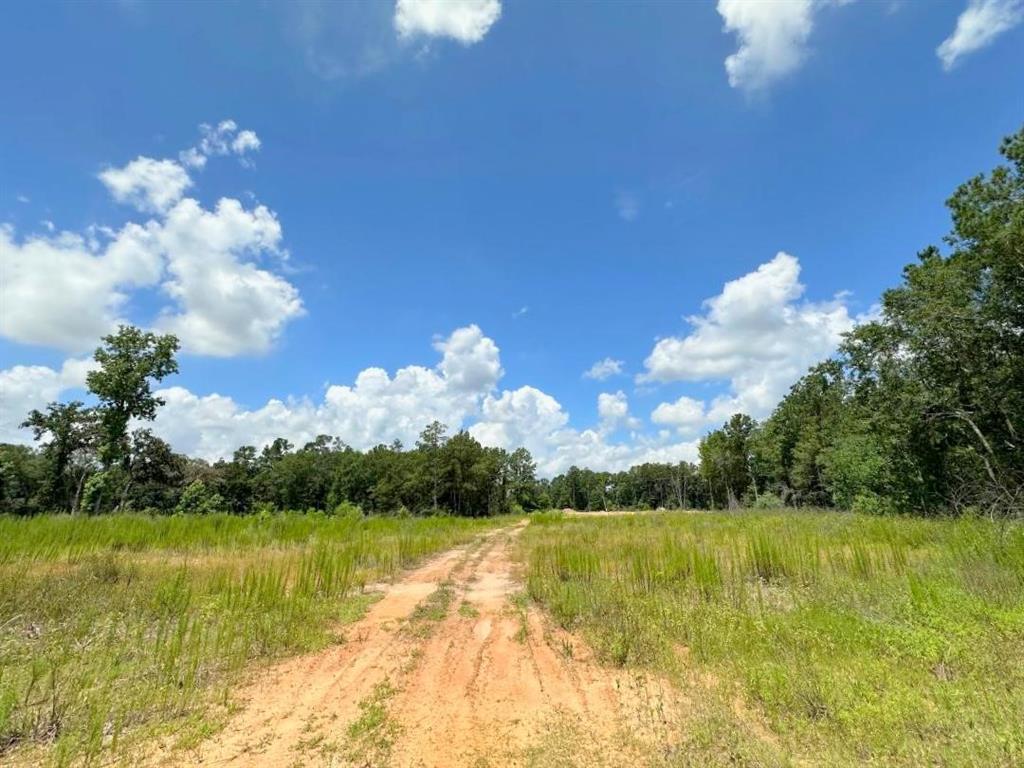 25930 GRAND PINES