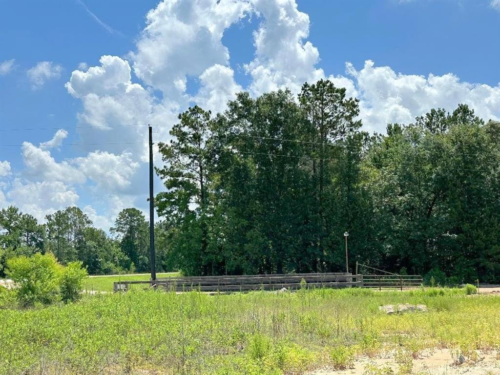 25930 GRAND PINES