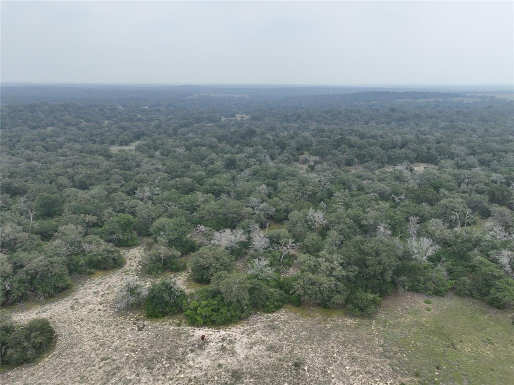 TR 9 Priivate Road, Seguin, Texas image 3