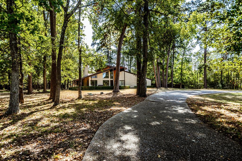 73 Autumn Way, Huntsville, Texas image 4