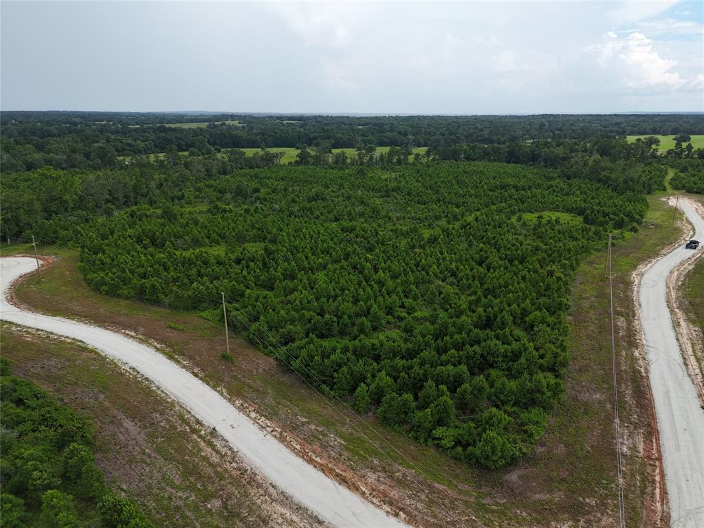 TBD Leon Lane, Lovelady, Texas image 6