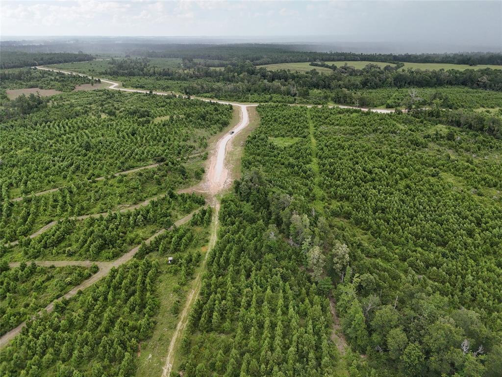 TBD Leon Lane, Lovelady, Texas image 3