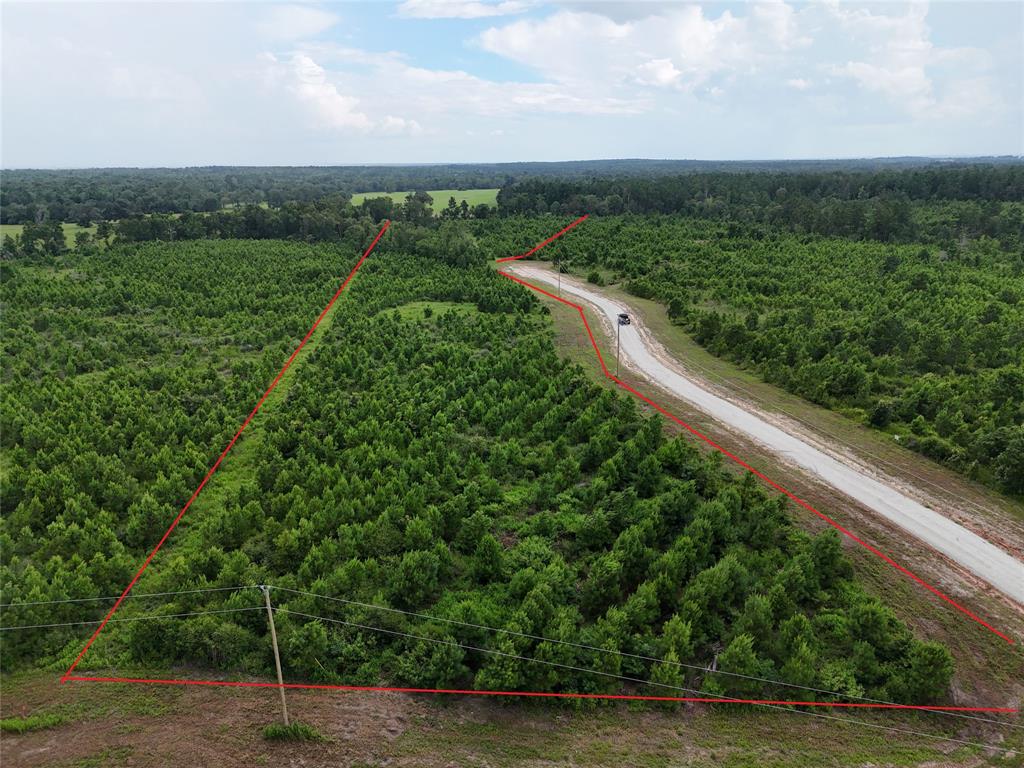 TBD Leon Lane, Lovelady, Texas image 1