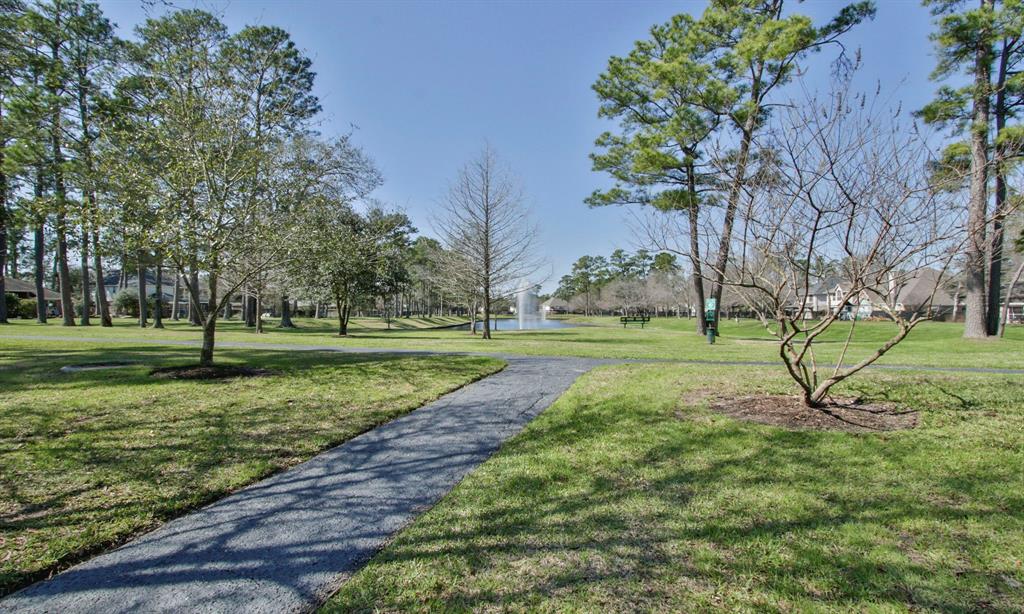 14203 Imperial Springs Court, Cypress, Texas image 37