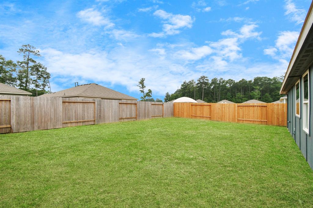 10135 Cabo Del Sol Drive, Cleveland, Texas image 43