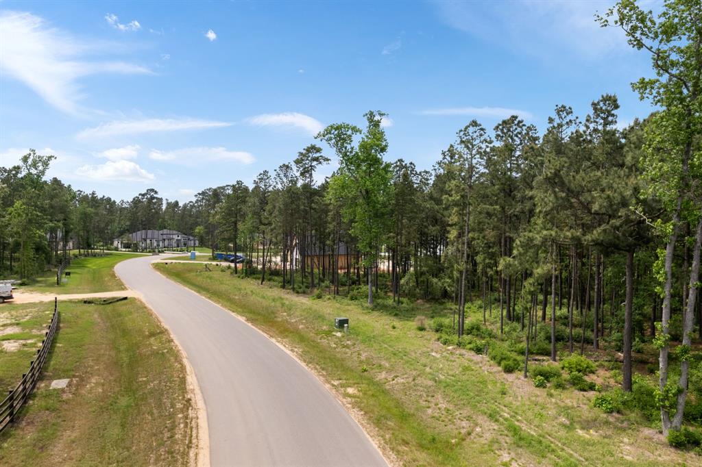 7488 High Meadow Ridge Drive, Montgomery, Texas image 3