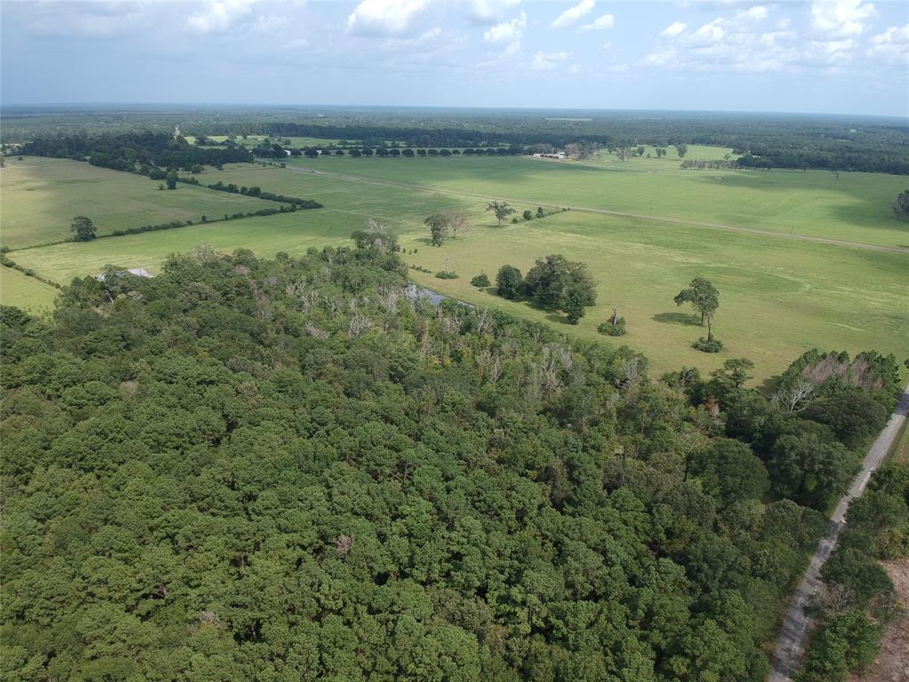 TBD County Road 534, Kirbyville, Texas image 3