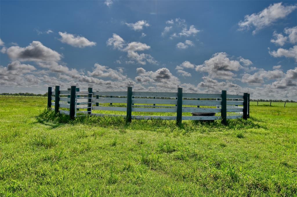 1922 Fm 1875, Beasley, Texas image 27