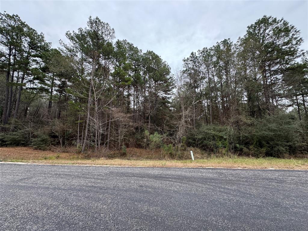 3A-7-5 Grand View, Huntsville, Texas image 12