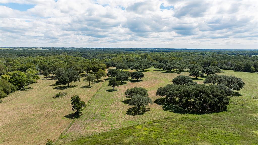 2287 Bryant Road, Schulenburg, Texas image 49