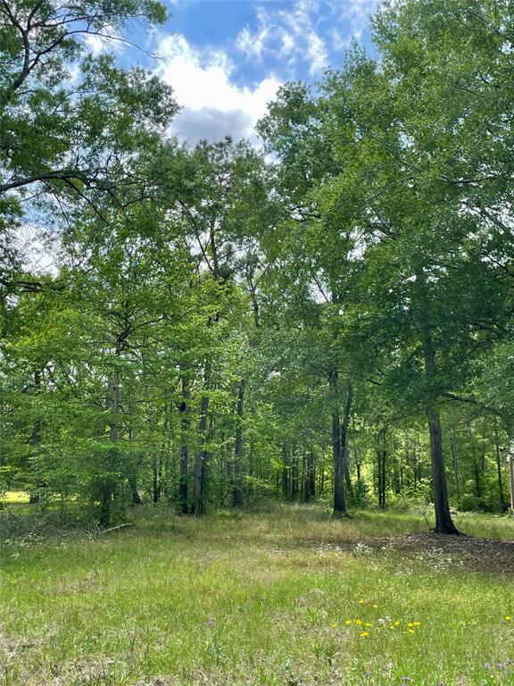 11430 Amber Park Drive, Conroe, Texas image 8