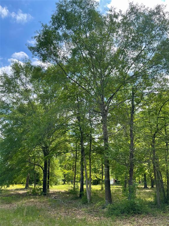 11430 Amber Park Drive, Conroe, Texas image 1