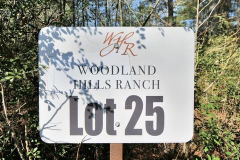 Photo of 25 Pr 1284, Centerville, TX 75833 (MLS # 21175968) Photo of 25 Pr 1284, Centerville, TX 75833 (MLS # 21175968)