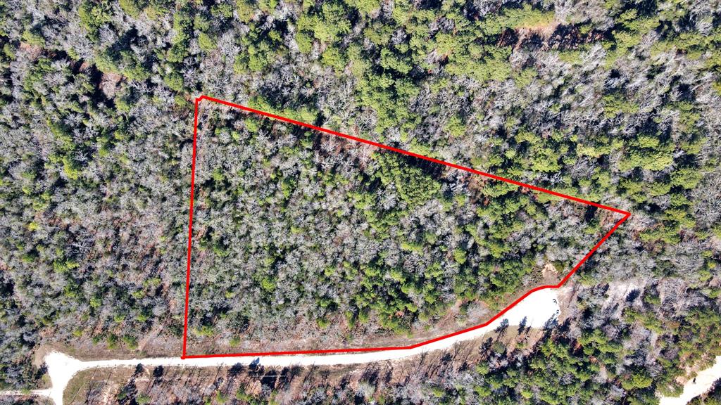 Lot 25 Pr 1284, Centerville, Texas image 4