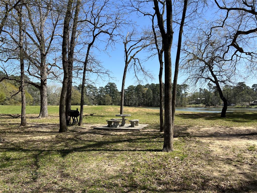 1513 Cheyenne Loop, Conroe, Texas image 7