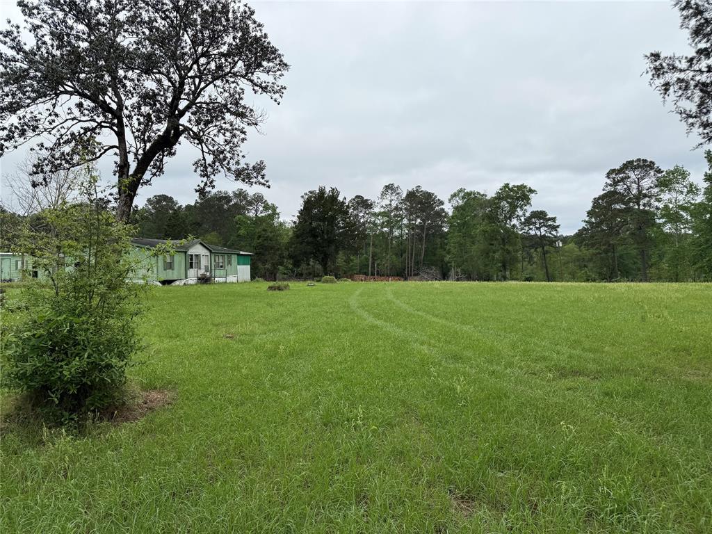 25780 E Holly Lane, Splendora, Texas image 3