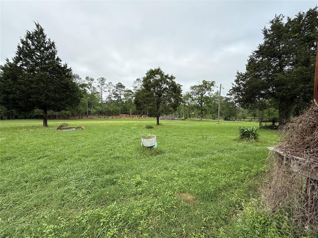 25780 E Holly Lane, Splendora, Texas image 17
