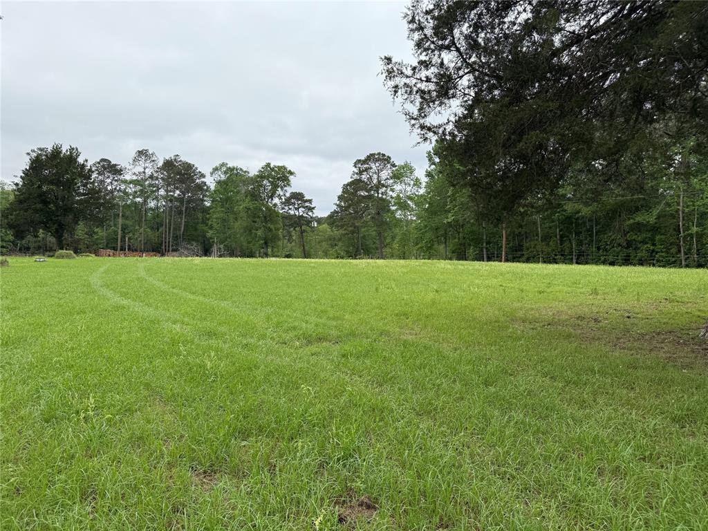 25780 E Holly Lane, Splendora, Texas image 4