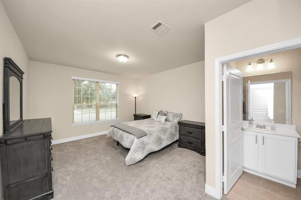 2918 Persimmon Grove, Richmond, Texas image 15