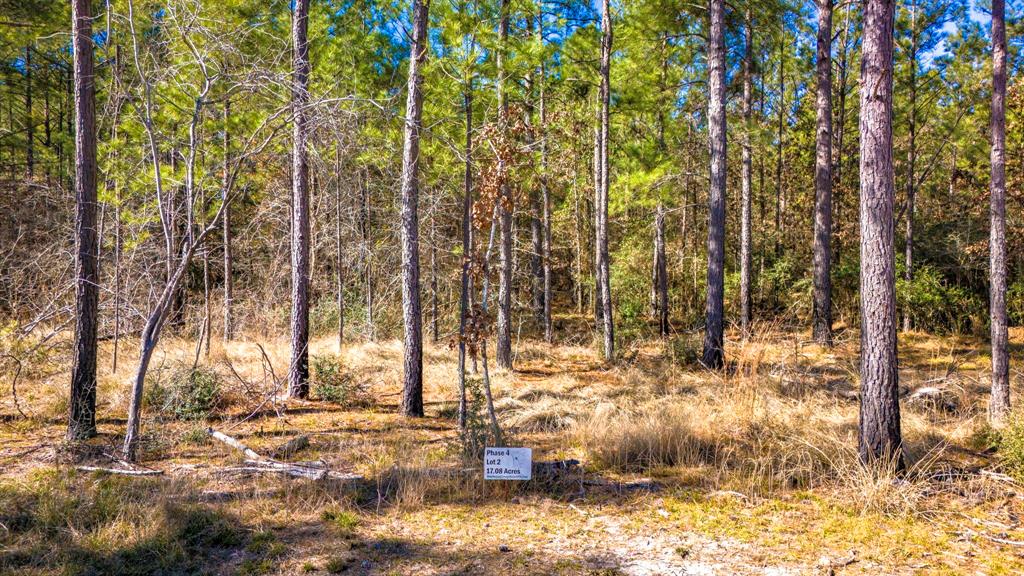 042 Sportsman Retreat Road Road, Onalaska, Texas image 6