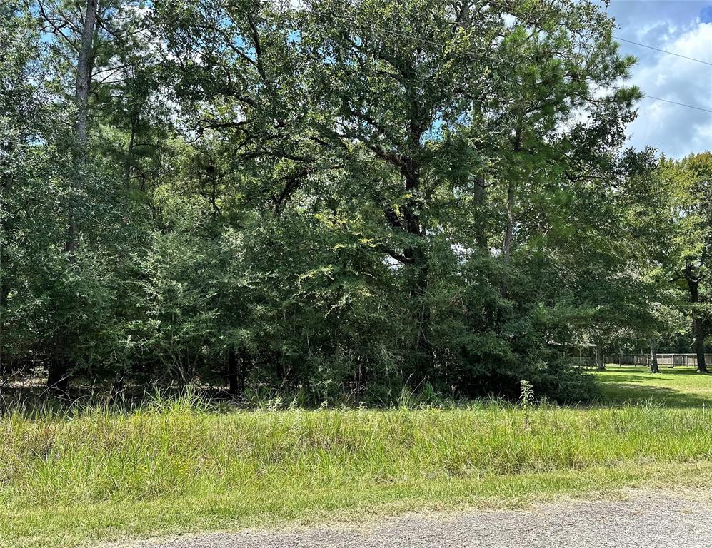 Lot 152 Nottingham Circle, Hockley, Texas image 7