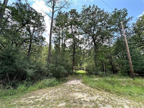 Lot 152 Nottingham Circle Hockley TX 77447